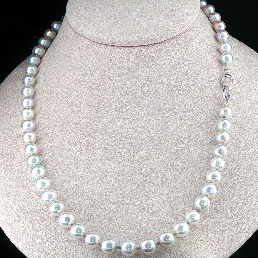 Rare Akoya Silver-Blue Pearls/ 18K White Gold Clasp